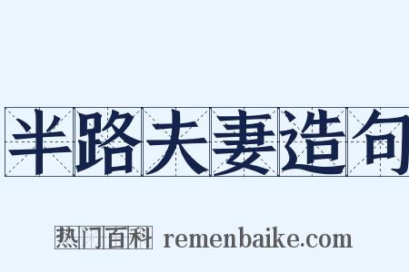 半路夫妻造句是什么意思的图片